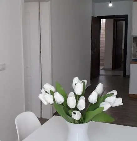 Joy Summer Apartment