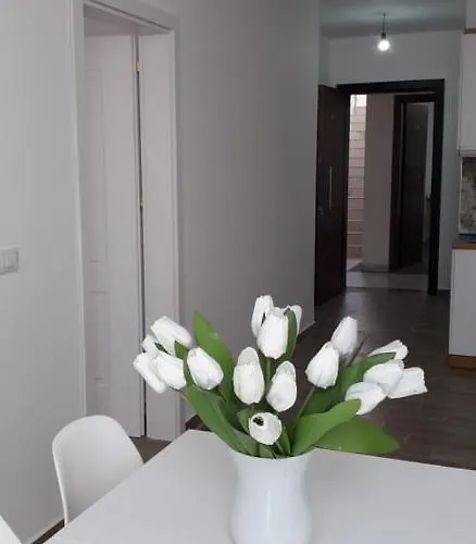 Joy Summer Апартаменты